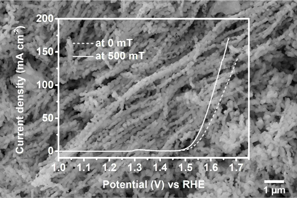 Electrospun CoFe₂O₄ Nanowires Tailored for Magnetoelectrochemistry