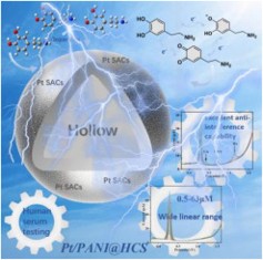 New paper on Electrocatalysis